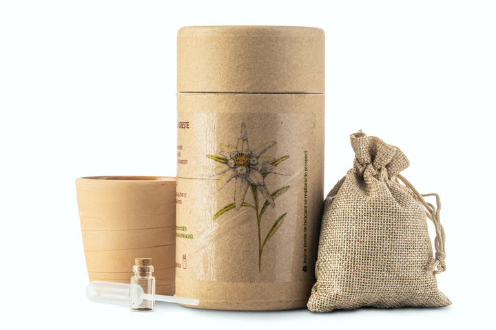 Trusă completă pentru a crește propria ta FLOARE DE COLȚ- KIT